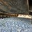 2022-bobcat-t770-image-77