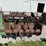 john-deere-450-image-4