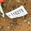 107---behlen-country-subcompact-potato-plow-image-4