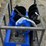 #70-•-skid-steer-augers-w/-3-bits---6in,-12in,-14in-image-4