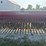 18x7-ih-510-grain-drill-image-5