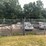 two-8-foot-gates-with-wildlife-scene-image-1