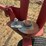 #26606-•-sitrex-columbia-tr1113-hay-rake-image-17