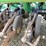 2000-john-deere-1860-image-14