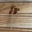 (2)-john-deere-straight-pins-image-5