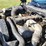 2002-dodge-2500-image-62