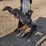2018-bobcat-e26-image-18
