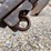 #20730-•-2-bottom-plow-image-11