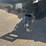 2020-international-mv-image-18