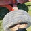 j&m-350-hopper-wagon-w/running-gear-image-35