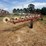 #26606-•-sitrex-columbia-tr1113-hay-rake-image-3