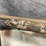 #4456-•-winchester-xpr-300-win-mag-bolt-action-rifle,-sn:-pt09578yw357-image-19