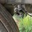 2011-stoughton-trailer-image-16