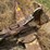 #26628-•-8'-levee-butt-blade-image-8