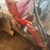 10’-ih-50-heavy-duty-grader-blade-image-8