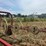 #26606-•-sitrex-columbia-tr1113-hay-rake-image-20