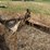 #26628-•-8'-levee-butt-blade-image-1