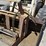 bobcat-980-image-53