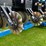 2013-kinze-3600asd-image-10