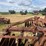 case-ih-480-image-24