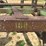 john-deere-100-image-11