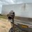 tyler-fertilizer-buggy-image-2