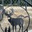 two-8-foot-gates-with-whitetail-image-3