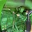 2014-john-deere-8270r-image-5