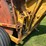 vermeer-crust-buster-rock-picker-image-11