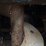 kinze-600-image-5