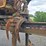 2004-tigercat-240b-image-17