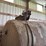 balzer-3350-magnum-image-6
