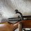 #4439-•-stevens-model-58-16-ga.-bolt-action-shotgun,-sn:-nsn-image-9