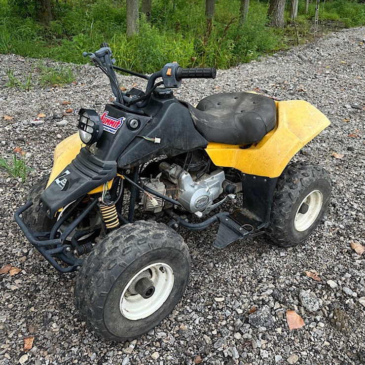 ZEBRA INTERNATIONAL YOUTH ATV