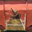 j&m-350-20-hopper-wagon-w/running-gear---tag-#1041-image-18