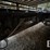 massey-ferguson-8000-image-5