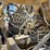 1995-ford-la9000-image-36