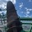 john-deere-637-image-27