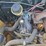 new-holland-lx665-turbo-image-49