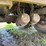2009-dakota-aluminum-40ft-grain-trailer-image-30