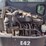 2019-bobcat-e42-image-45