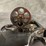#4350-•-colt-anaconda-44-rem-mag-revolver,-sn:-ac101898-image-15