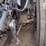 2013-peterbilt-337-image-25