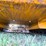 2022-jcb-3ts-8t-image-35