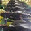 40'-jd-1990-air-seeder-image-5
