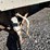 1996-monon-45'-x-96"-image-12