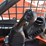 2017-kubota-ssv65-image-35