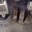 2013-volvo-a40f-image-12