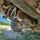 2012-peterbilt-382-image-39