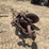 2-bottom-disk-plow-image-4